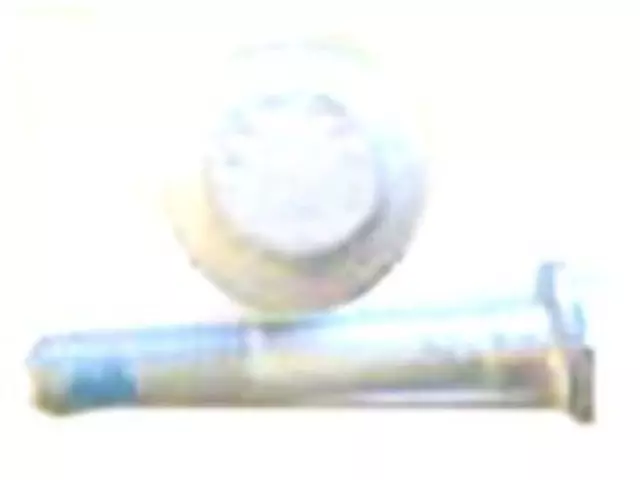 Engine Control Module (ECM) Bolt - Ford (-W500222-S437)