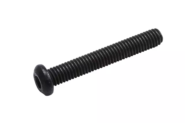 Electronic Throttle Actuator Bolt - GM (11562023)