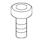 Control Module Screw - GM (11611291)