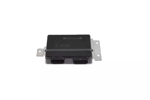 Fuel Injection Throttle Control Actuator Module - GM (12590008)