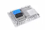 Engine Control Module - ACDelco (12667002)