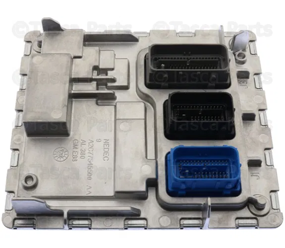 Engine Control Module - GM (12719250)