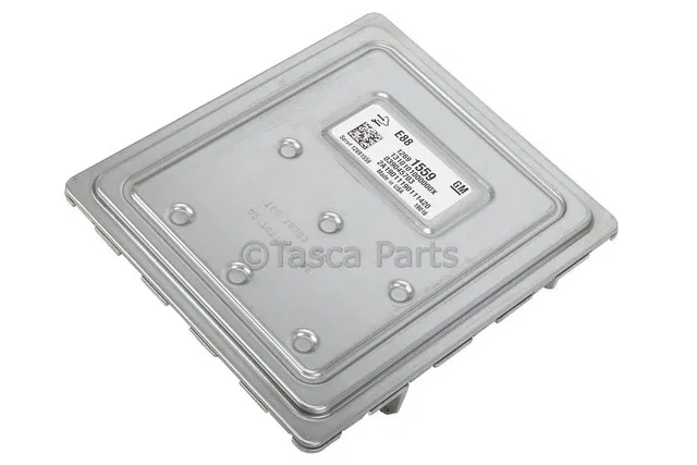Engine Control Module - GM (12719250)