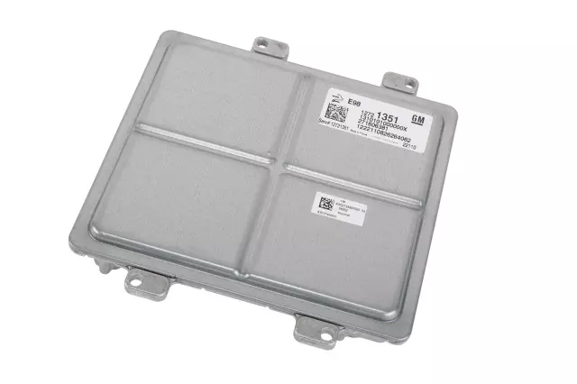 Engine Control Module - GM (12721351)