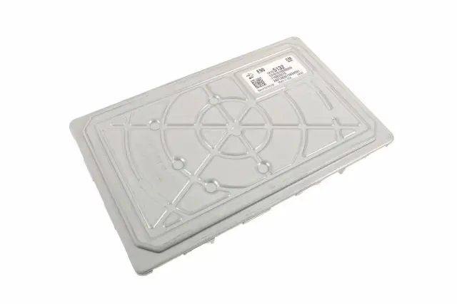Engine Control Module - ACDelco (12725132)