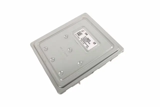 Engine Control Module (ECM) - GM (12733825)