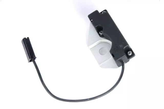 F Coil - GM (13383713)
