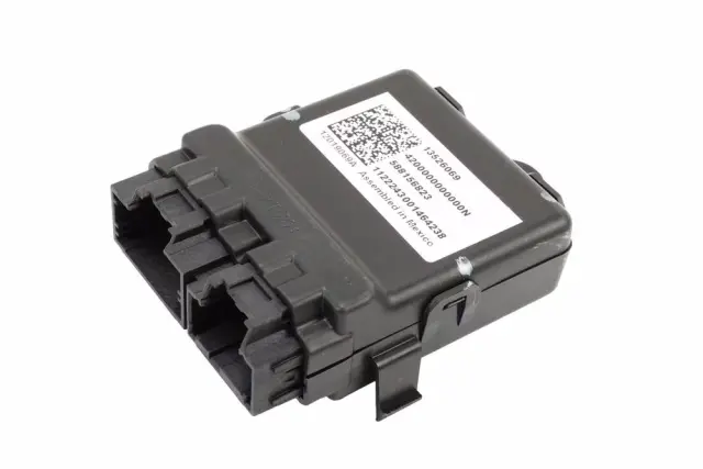 Control Module - Driver's Side (LH) - GM (13526069)