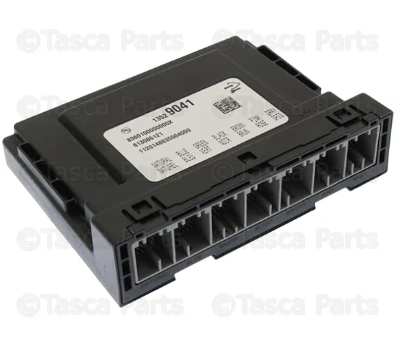 Body Control Module - GM (13529041)
