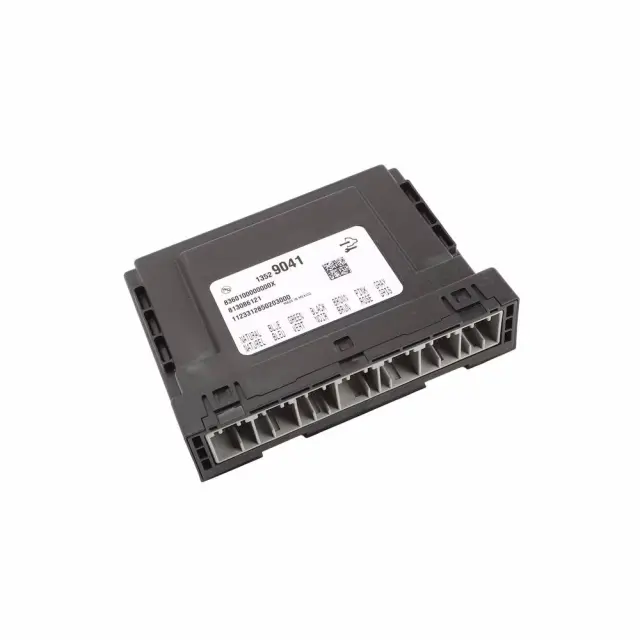 Body Control Module - GM (13529041)