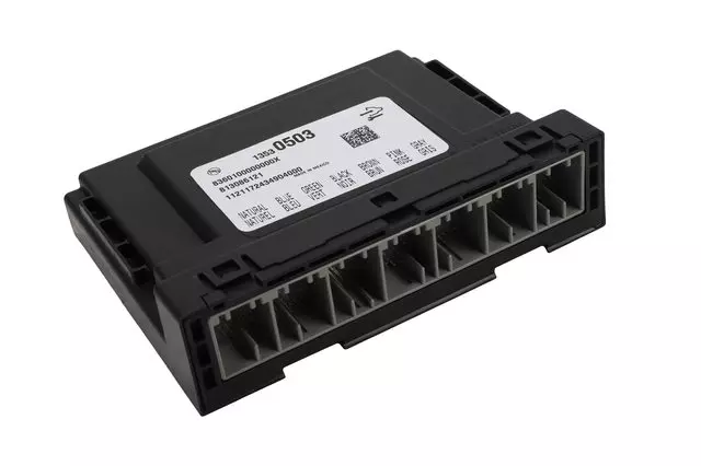 Body Control Module - ACDelco (13530503)