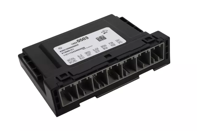 Body Control Module - ACDelco (13530503)