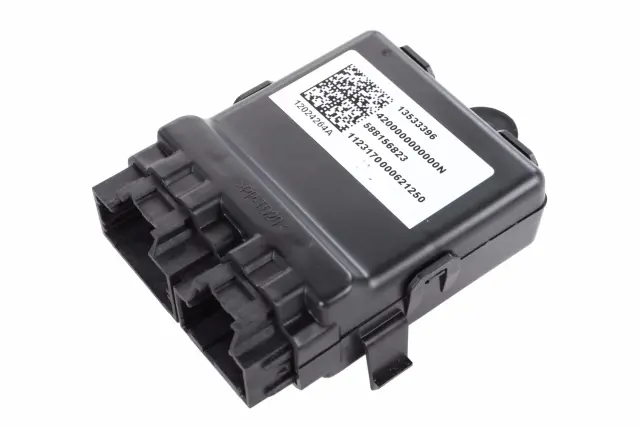 Module - GM (13533396)