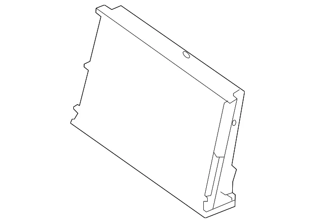 Body Control Module - GM (13557471)