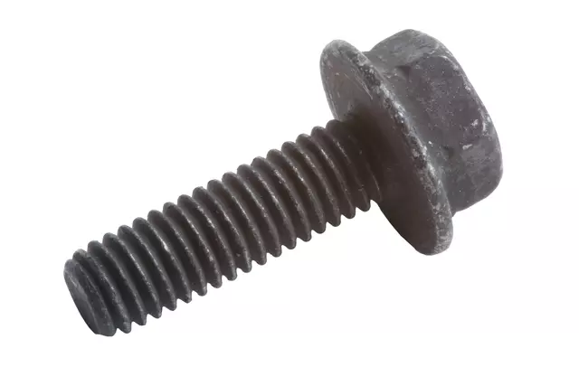 Mass Airflow Sensor Bolt - GM (15124696)