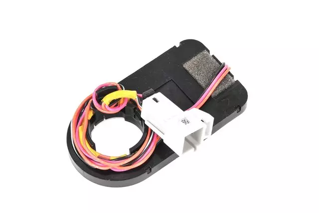Theft Deterrent Module - GM (15219136)