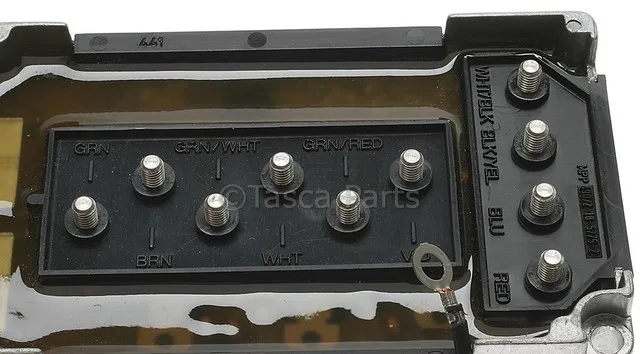 Module - GM (19145717)
