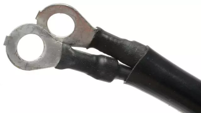 Module - GM (19145719)