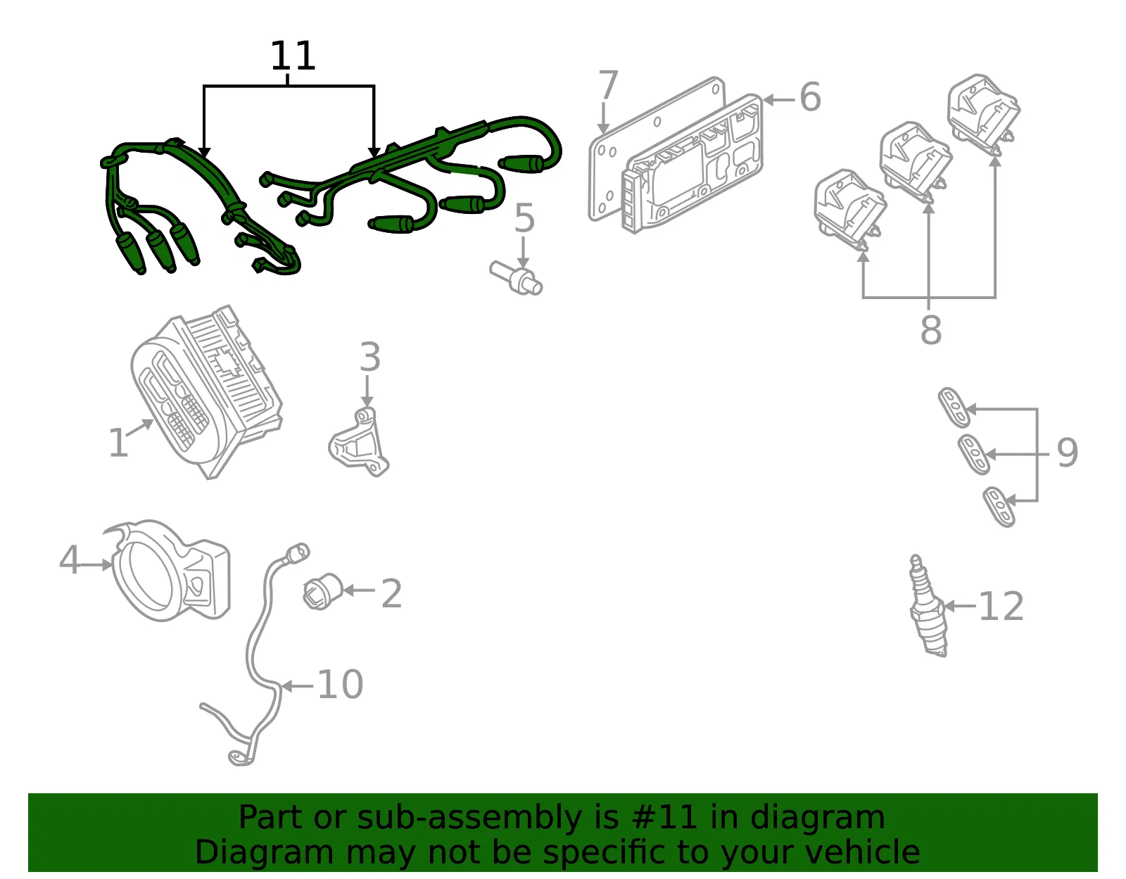 Spark Plug Wire Set - GM (19171850)