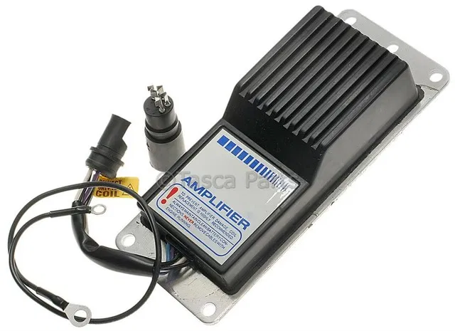Module - GM (19190638)