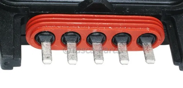 Module - GM (19294247)