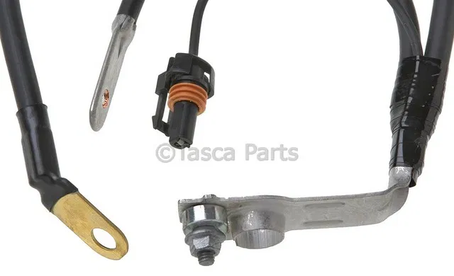 Negative Battery Cable - GM (19295331)