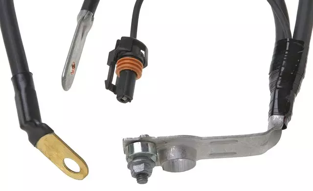 Negative Battery Cable - GM (19295331)