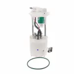 Fuel Pump and Level Sensor Module - GM (19301256)
