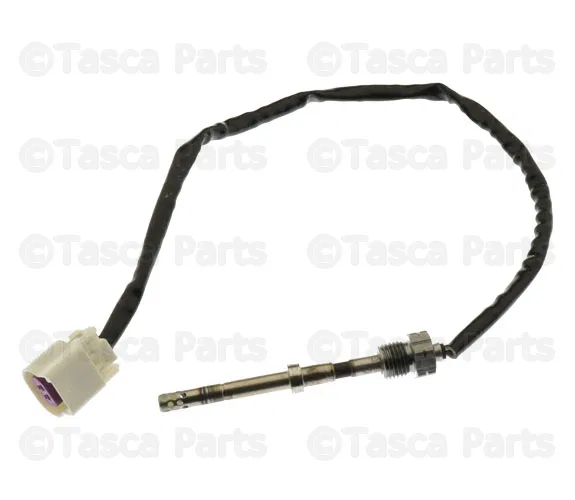 Oxygen Sensor - GM (19418989)