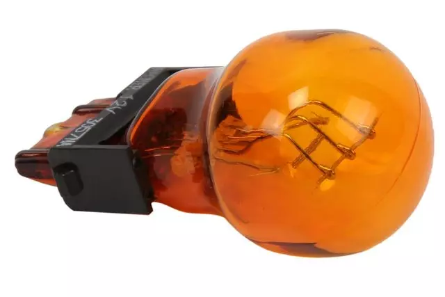 Park Lamp Bulb - GM (19432166)