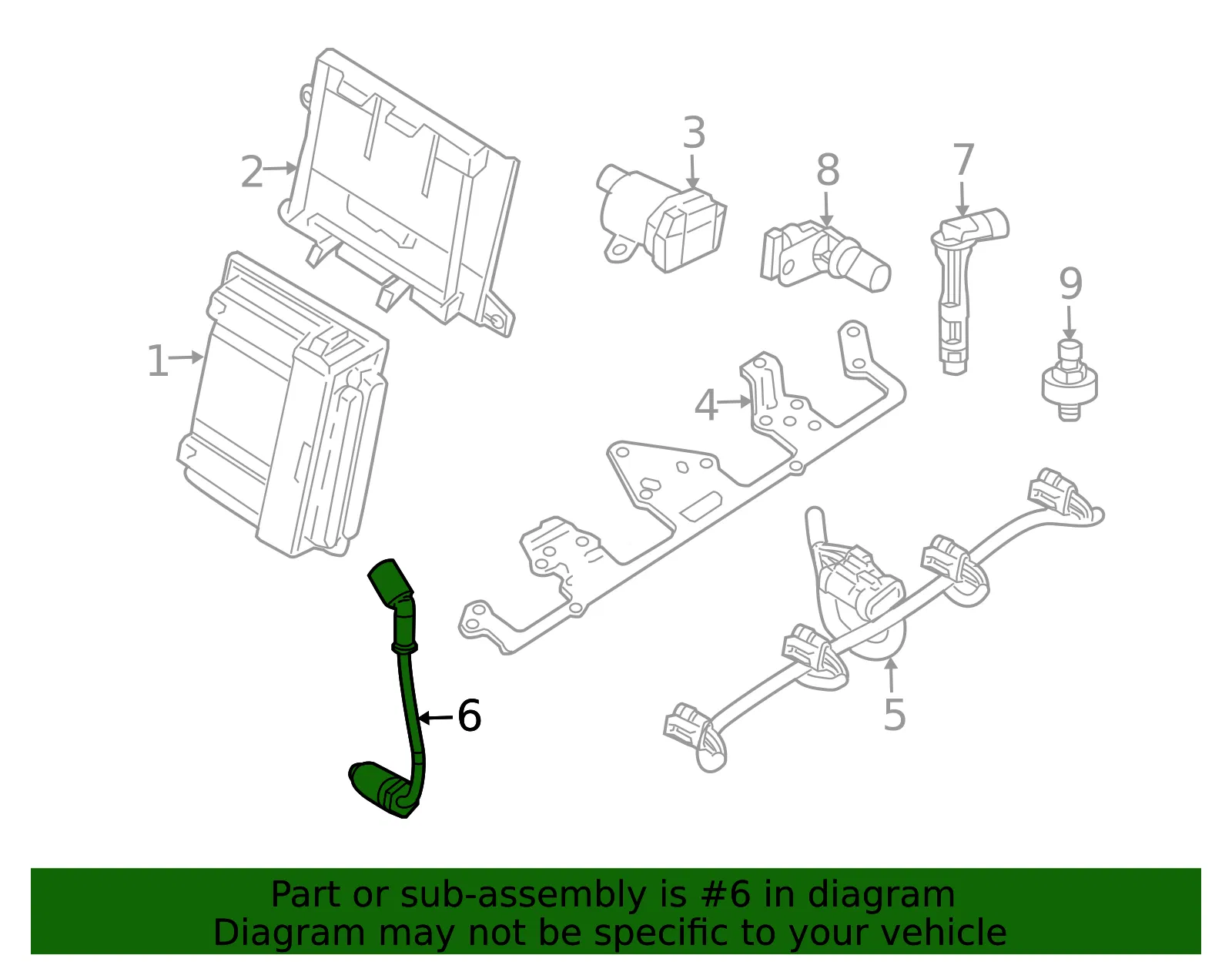 Plug Wire Set - GM (19434441)