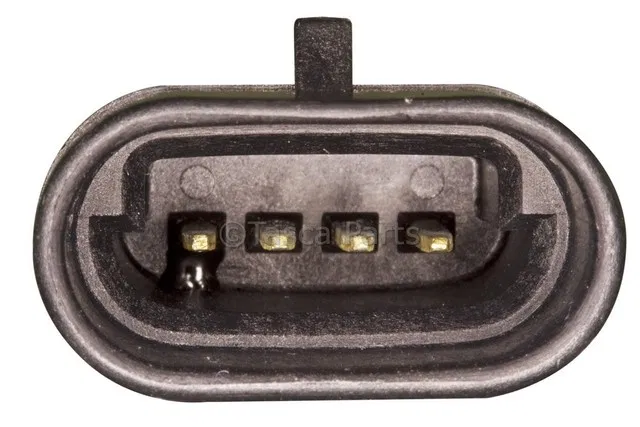 Module - GM (19435467)