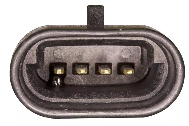 Module - GM (19435467)