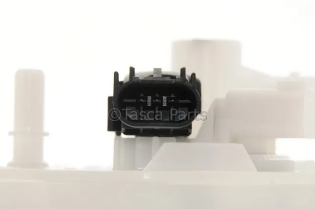 W (S)Module Kit - GM (19541118)
