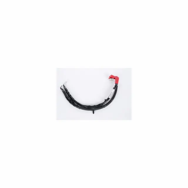 Positive Battery Cable - GM (20921448)