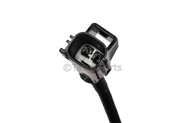 Negative Battery Cable - GM (20955244)
