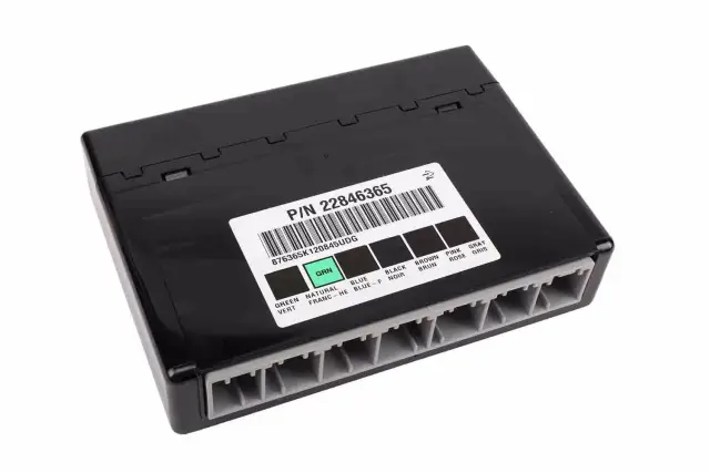 Body Control Module - ACDelco (22846365)