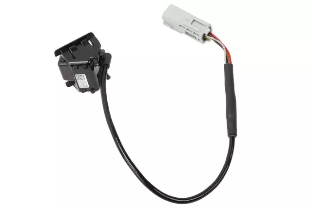 Rearview Camera Image Display Module - GM (22885399)