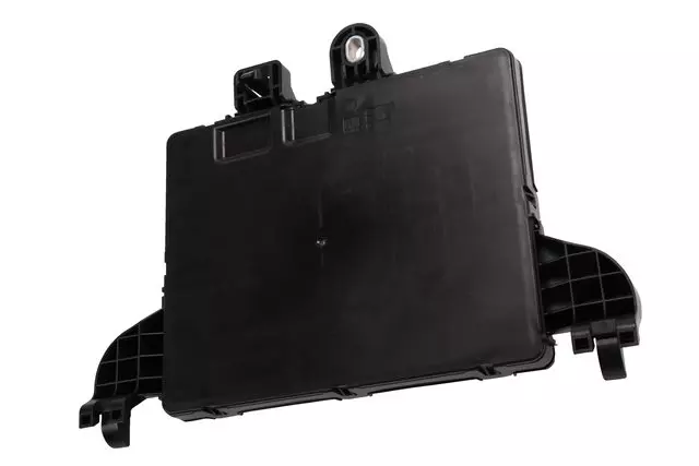 Rear Body Fuse Block - GM (22896543)