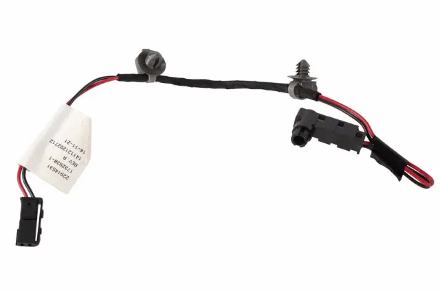 F Bulb - GM (22914531)