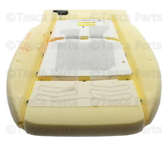 Airbag Front Passenger Presence Module - GM (22968438)