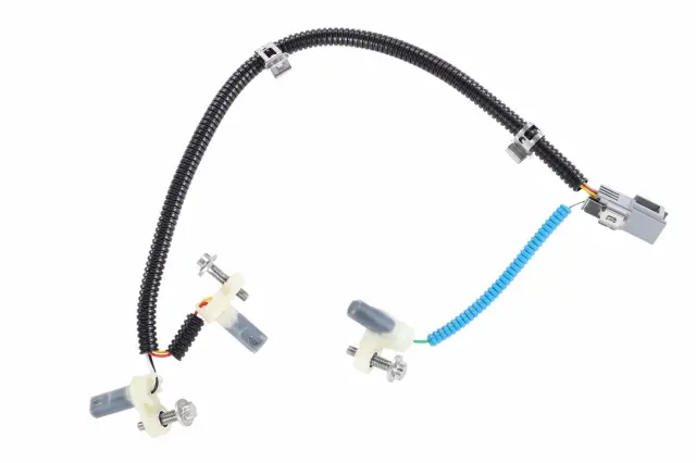 Harness - GM (24060365)