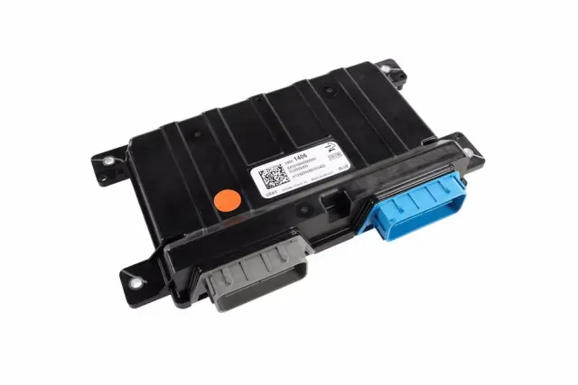 Control Module - GM (24061406)