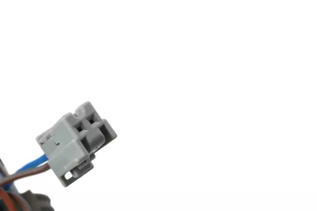 Harness - GM (24064376)