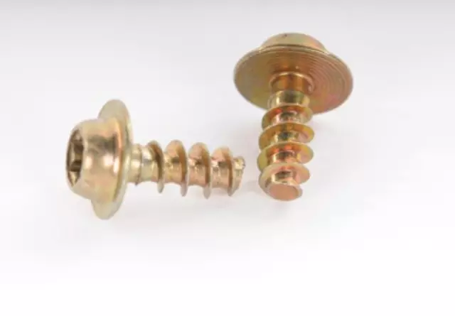Battery Cover Bolt - GM (25372415)