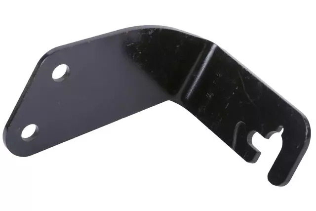 Cruise Control Module Cable Bracket - GM (25721638)