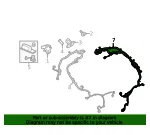 Wire Harness - GM (26526639)