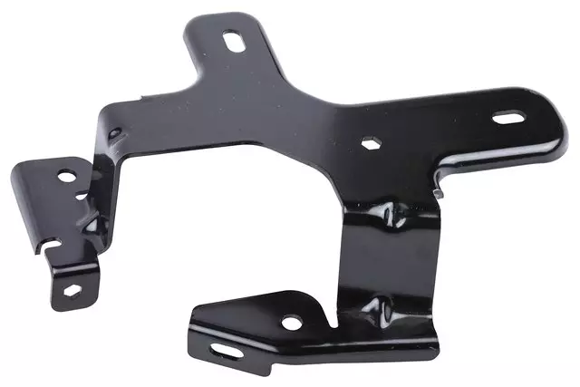 Engine Control Module and Wiring Harness Bracket - GM (42546306)