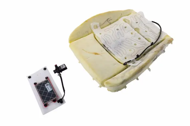 Occupant Sensor - GM (42821253)