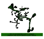 Engine Harness - GM (42847344)